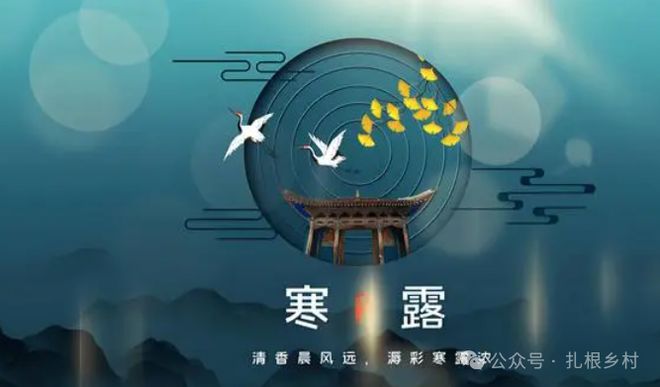 “1不露2要吃3禁忌”家有老人更要注意麻将胡了2试玩模拟器明日寒露不管多忙(图2)